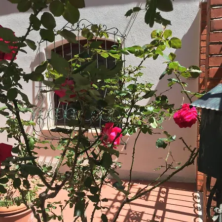 Serra Iun E6769 Bed & Breakfast *