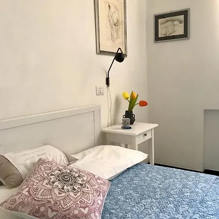 Serra Iun E6769 3* 오리스타노